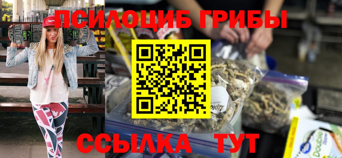 Псилоцибиновые грибы Psilocybe  Псилоцибиновые грибы прущие грибы  Жигулёвск  Вход с VPN 